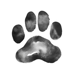 black paw watercolor good quality and good design
