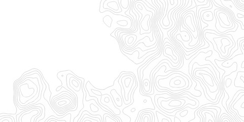 Vector geography landscape Topo contour map on white background, Topographic contour lines. Seamless pattern with lines Topographic map. Geographic mountain relief.
