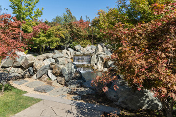 Krasnodar Japanese Garden. Japanese maples with red autumn foliage grow on huge stone boulders...