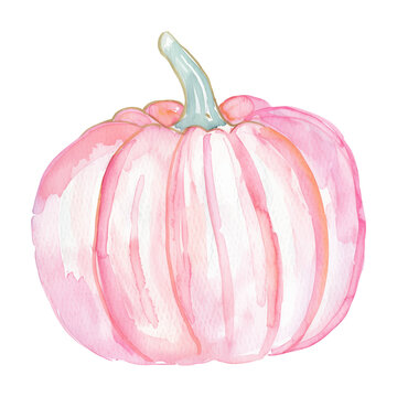 pink pumpkin watercolor good quality and good design