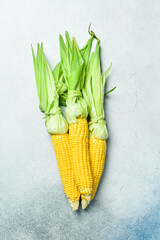 Fresh yellow cobs of organic corn on gray concrete background. Top view.