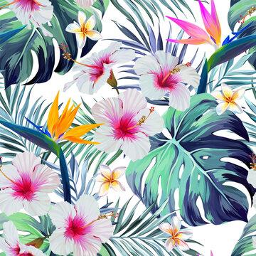 Tropical pattern. Hibiscus, plumeria, monstera, flower of paradise, palm leaf