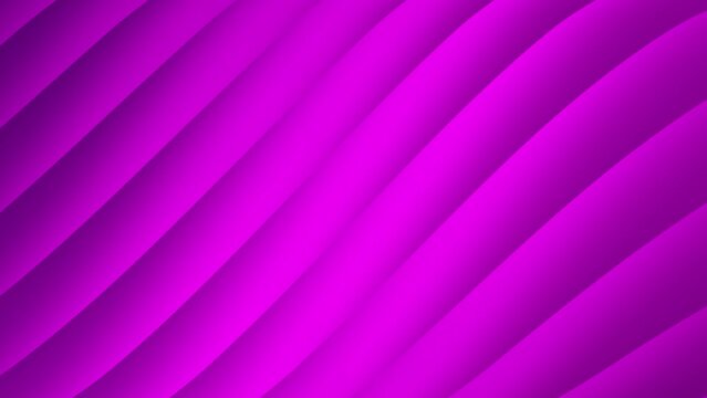 Abstract pink waves background. Seamless looped animation. 4k video
