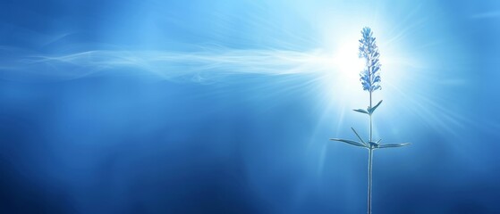 Obraz premium A stunning blue backdrop with a lush plant at its center, bathed in golden sunlight from above