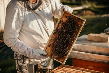 Man in beekeeping attire tending to his honeybees outdoors