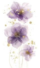 Watercolor delicate flowers on transparent background