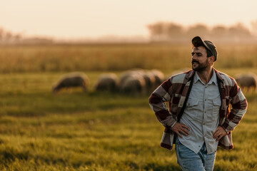 Farmer takes a moment to appreciate the simple joys of rural life amidst his field at sunset, sheep...