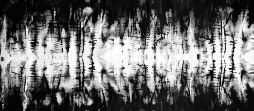 Poster a monochromatic photo capturing the reflection of trees in a tranquil body of water, creating a beau