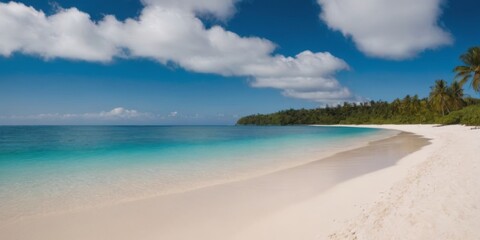 A beautiful beach with a clear blue ocean and a few palm trees. The sky is cloudy, but the beach is...