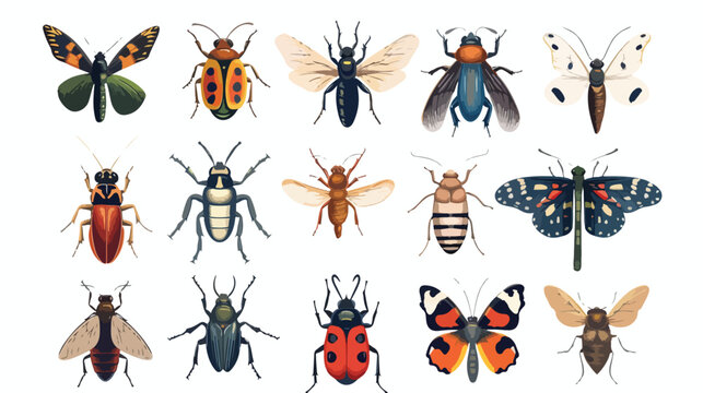 Vintage Insects Reference Illustration Science Flat vector