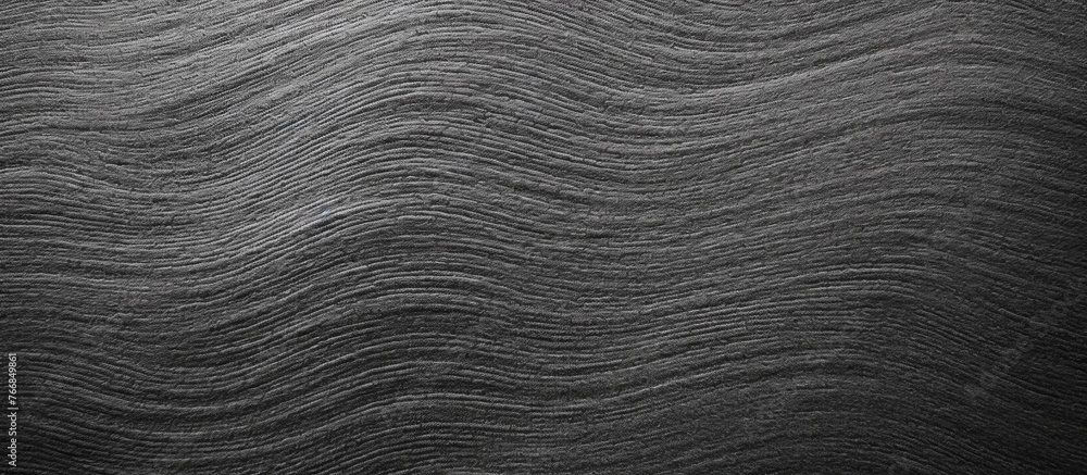 Poster capture the intricate design of a wave pattern in black and white on a textured wall