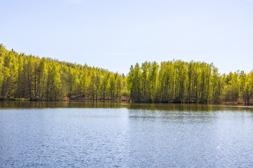 Forest lake with green trees on a sunny spring day