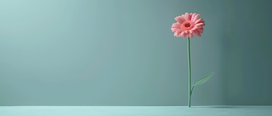   A stunning image of a solitary pink bloom in a clear vase resting on a wooden table, surrounded by light green and blue walls