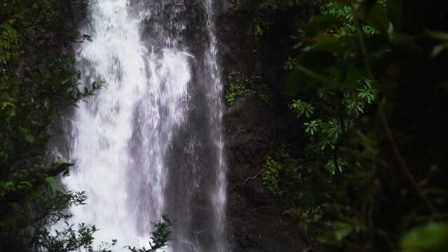Tavarua Wainibau Falls waterfalls jungle mountain Taveuni Garden Island coral coast reef break sand tropical peaceful palm coconut trees rainy cloudy stunning Tourism Fiji slow motion pan down