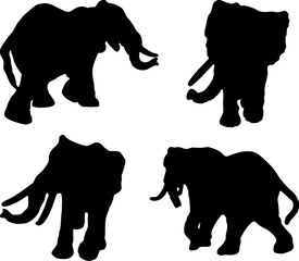 Elephant set
