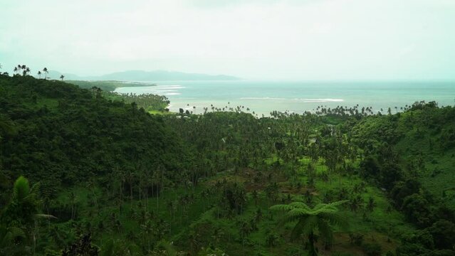 Tavarua Falls waterfall beach walk jungle mountain Taveuni Garden Island coral coast reef break sand tropical peaceful waves crashing shoreline palm coconut trees rainy sunny cloudy static shot
