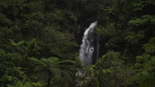 Tavarua Wainibau Falls waterfalls jungle mountain Taveuni Garden Island coral coast reef break sand tropical peaceful palm coconut trees rainy cloudy stunning static shot Tourism Fiji slow motion
