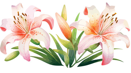 Watercolor Lily Flat vector isolated on white background