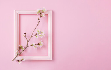 Picture frame and cherry blossoms.  額縁と桜