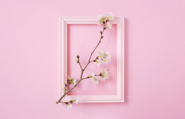Picture frame and cherry blossoms.  額縁と桜