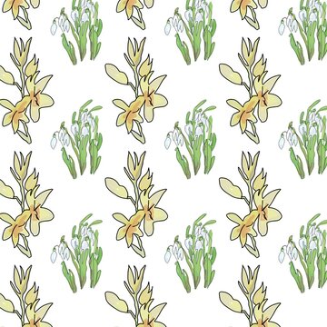 Hesperantha lily and snowdrops spring pattern, background