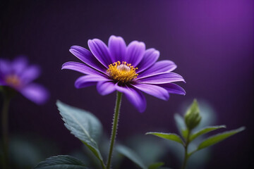 Fototapeta premium A close-up view of a vibrant purple flower standing out against a lush purple background, creating a visually striking contrast