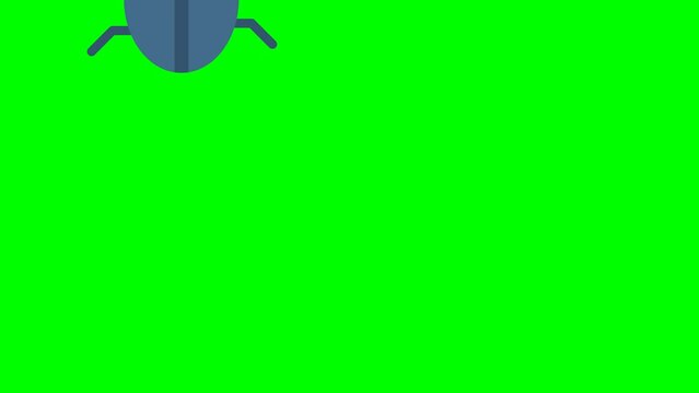 Beetle crawls across the monitor screen. Blue spider on green screen. Spiders flat animation isolated on a green background. Funny blue cartoon spider. 2d flat animation. Alpha channel. Chroma key