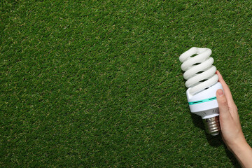 An economical light bulb on the grass