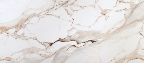 Macro photography capturing the intricate details of a white and gold marble texture, resembling a fusion of liquid and wood, creating a stunning still life art piece
