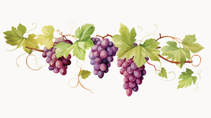 Watercolor Grape Vine Flat vector isolated on white background