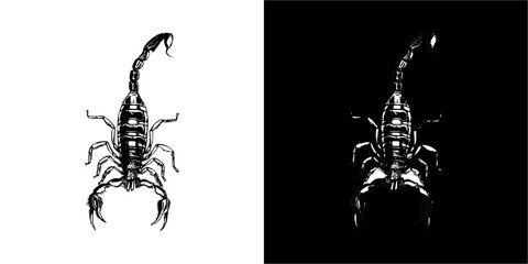 scorpion vector.eps - obrazy, fototapety, plakaty