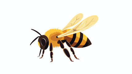 Bumblebee  Honey Bee flat vector isolated on white background