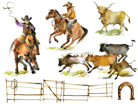 Cowboy Stockman mustering cattle.
Catching wild cattle on the South American pampas watercolor illustration set isolate on white