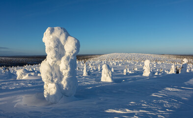 Winter landscape in Riisitunturi National Park (Riisitunturin kansallispuisto), central Finland...
