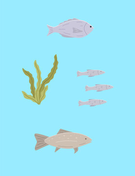Set of sea or river fish and algae. Vector illustration dorado carp, a school of fish, blue background.