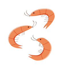 Shrimp is a set of hand drawn marine animals. Vector illustration of seafood isolated on white. - 766880215