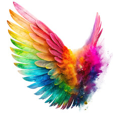 color wing transparent set