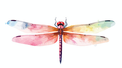Dragonfly Watercolor flat vector isolated on white background