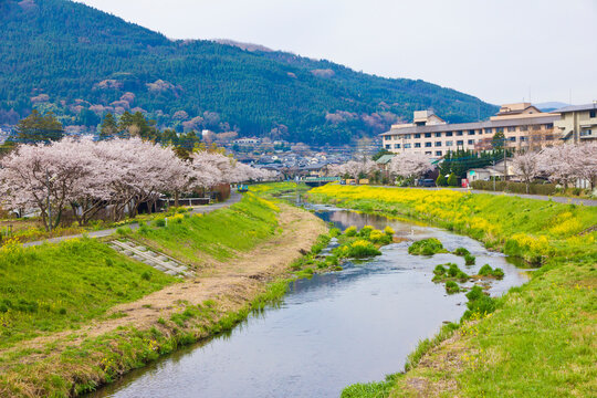 Springtime at Yufuin village in Oita prefecture, Kyushu, Japan.
