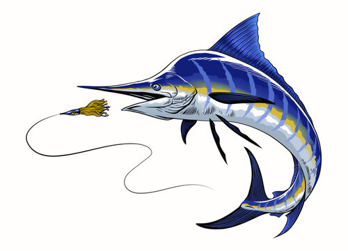 "Blue Marlin" Images – Browse 1,807 Stock Photos, Vectors, and Video