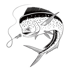 Dorado Fish Hand Drawn Illustration Black and White