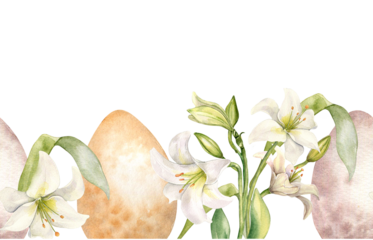 Easter seamless banner with eggs and white flowers. Lilies pastel color watercolor illustration isolated on white. Lilium botanical art hand drawn. Design for Christianity holiday, Easter invitation