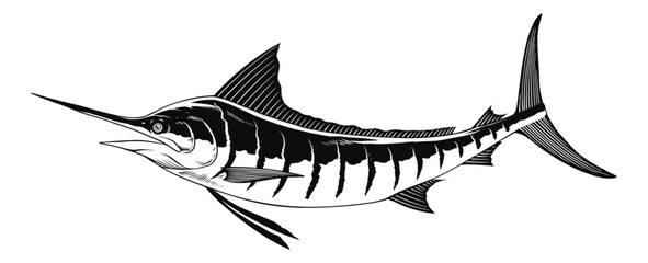 Marlin Fish VectorBlack and White Illustration - obrazy, fototapety, plakaty