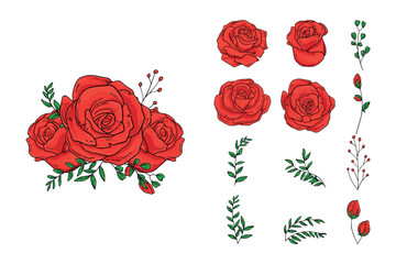 free vector Rose flower drawing	