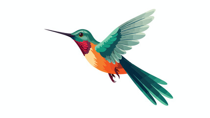 Hummingbird flat vector isolated on white background