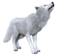 3D Rendered White Wolf on Transparent Background - 3D Illustration