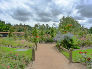 Jardin et roseraie