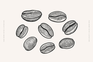 Set of roasted coffee beans in engraving style. The fruits of exotic plants for making an invigorating drink. Design element for menu, packaging for shop, cafe. Vector vintage illustration.