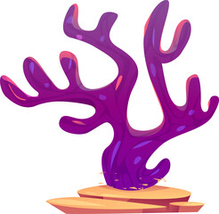 Obraz premium Underwater Plant