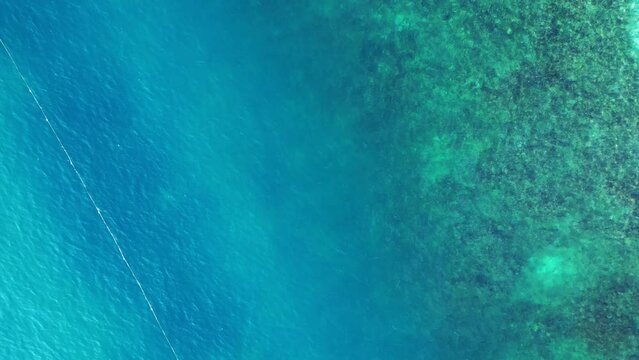 Reef shark black fin blue turquoise ocean. Smooth aerial top view flight drone shot footage from above
4k
